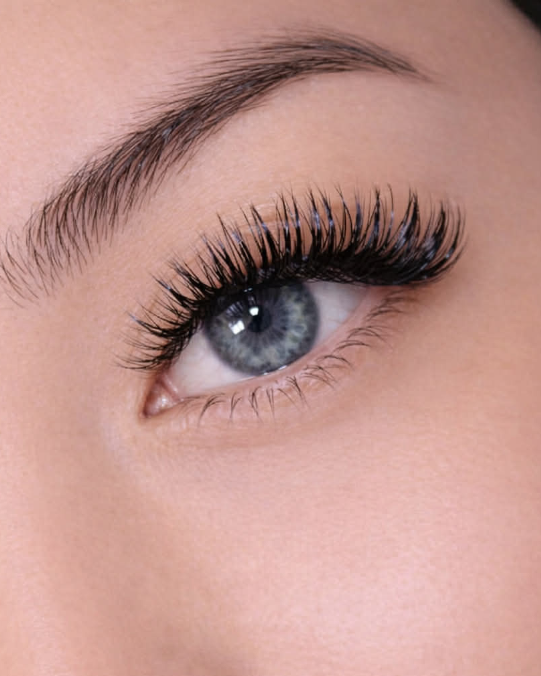 Hybrid lashes Dingera