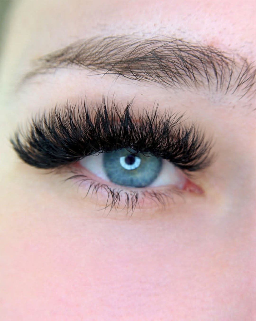 Mega volume lashes Dingera